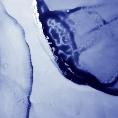 Demo Blog 3